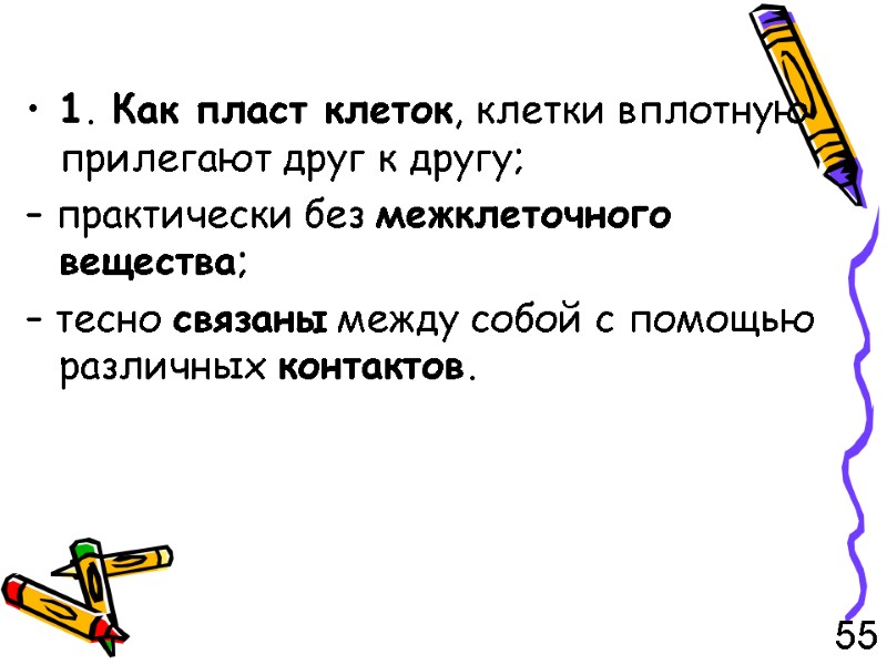 1. Как пласт клеток, клетки вплотную прилегают друг к другу; – практически без межклеточного
